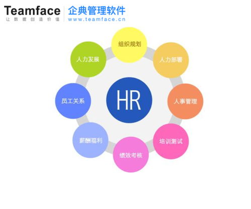 定制HR人力資源管理系統 企業節省資金與人力的高效途徑